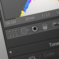 A Complete Beginner’s Guide to Toning and Cropping in Lightroom – Tuts+ Premium