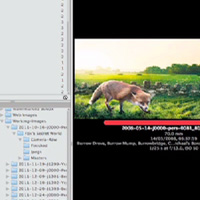 Transitioning into Professional Photography: Part 4 – Tuts+ Premium
