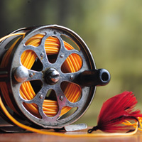 How to Create Still Life Photos with Projected Backgrounds – Tuts+ Premium