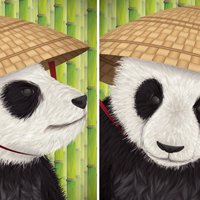 Create a Kung Fu Panda Diptych in Adobe Illustrator CS5 – Tuts+ Premium Tutorial