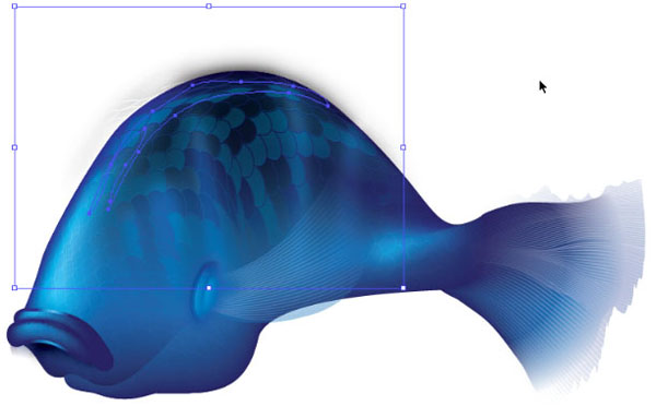 Create an Artistic Vector Fish with Layered Effects